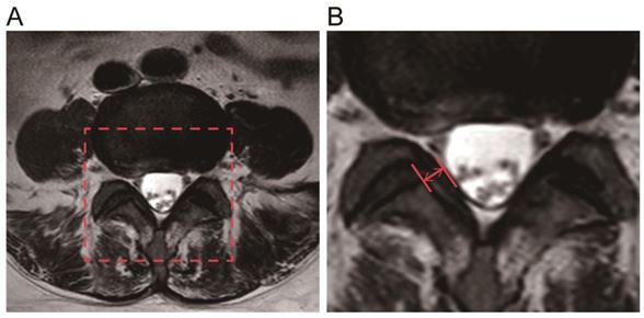 Int J Med Sci Image