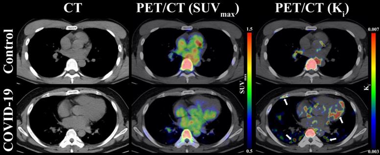 Int J Med Sci Image