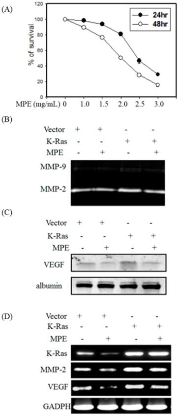 Int J Med Sci Image