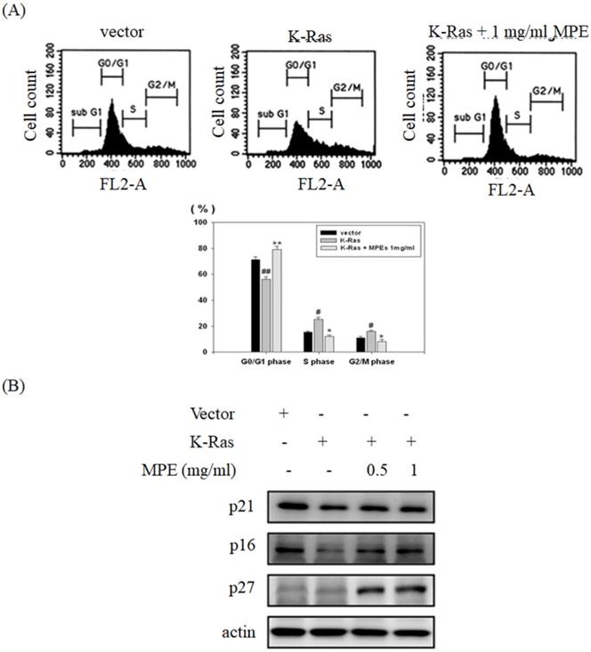 Int J Med Sci Image