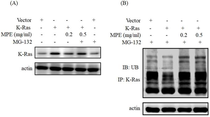 Int J Med Sci Image