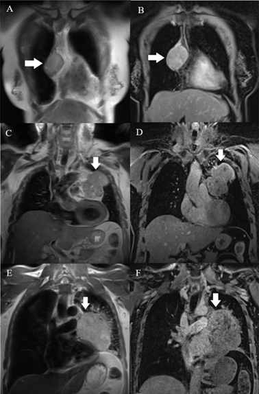 Int J Med Sci Image