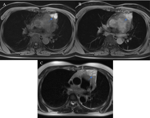 Int J Med Sci Image