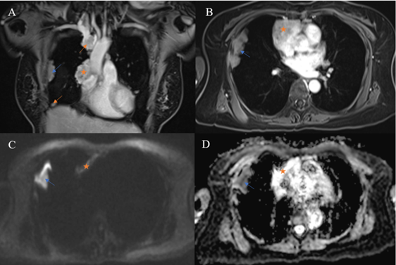 Int J Med Sci Image