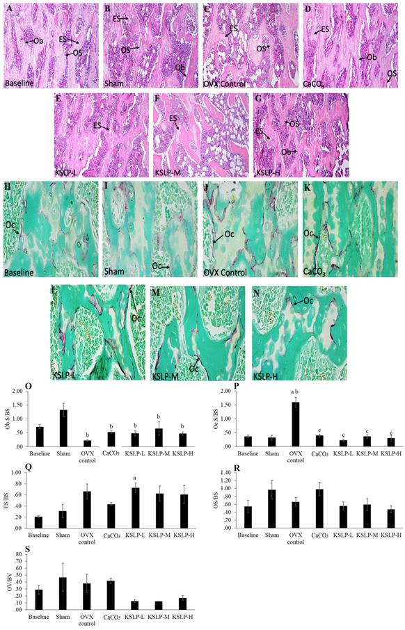 Int J Med Sci Image