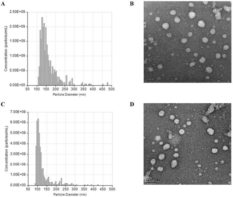 Int J Med Sci Image