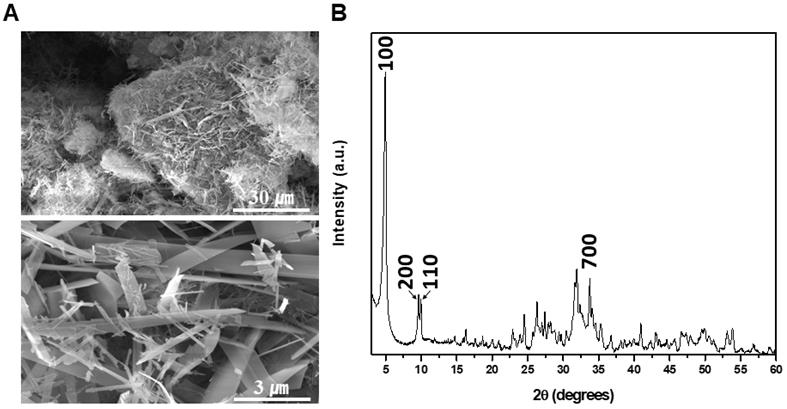 Int J Med Sci Image