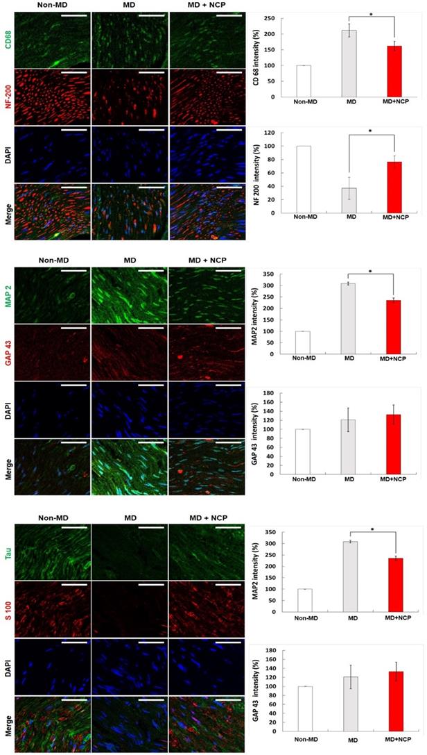 Int J Med Sci Image