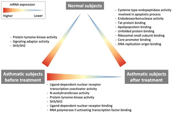 Int J Med Sci Image