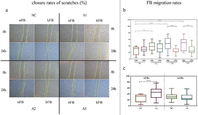 Int J Med Sci Image