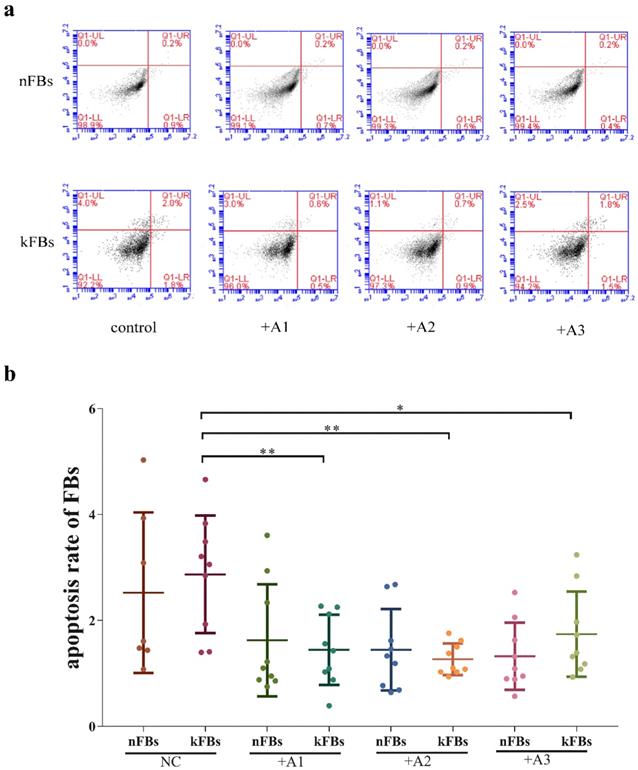 Int J Med Sci Image