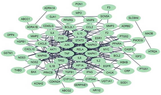 Int J Med Sci Image