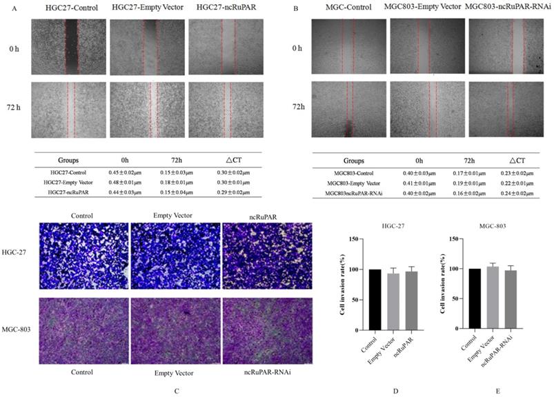 Int J Med Sci Image