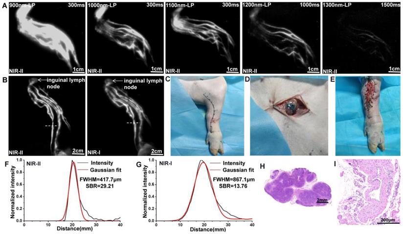 Int J Med Sci Image