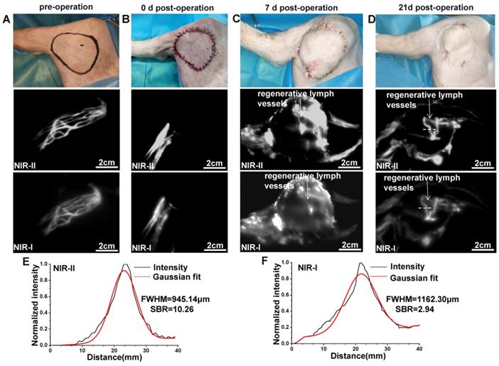 Int J Med Sci Image