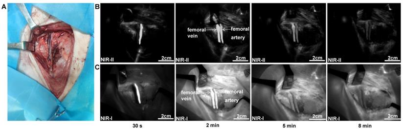 Int J Med Sci Image