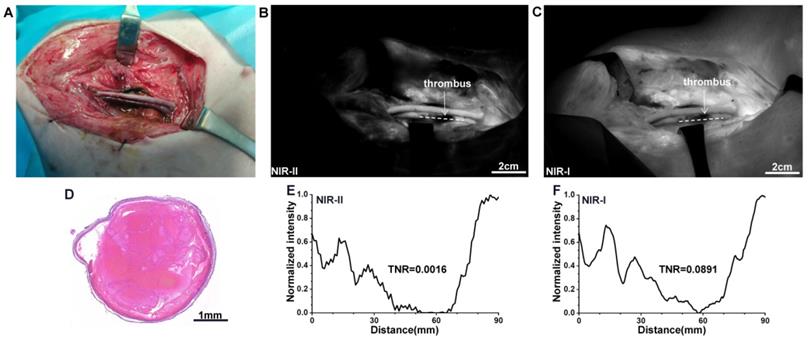 Int J Med Sci Image