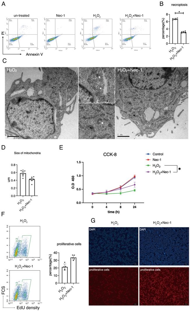 Int J Med Sci Image