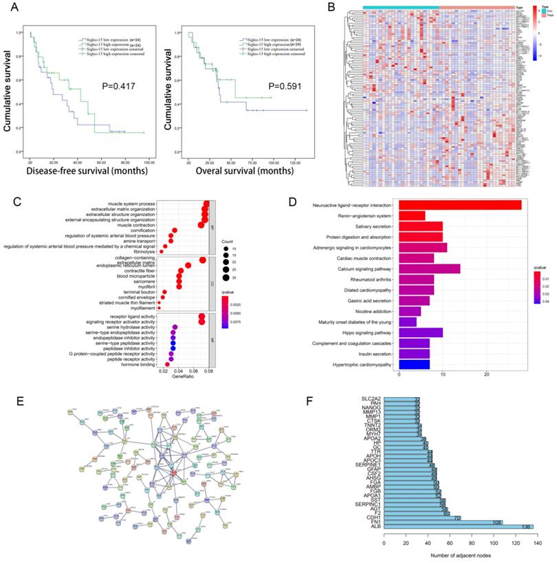 Int J Med Sci Image