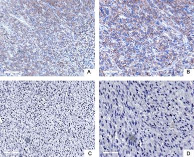 Int J Med Sci Image