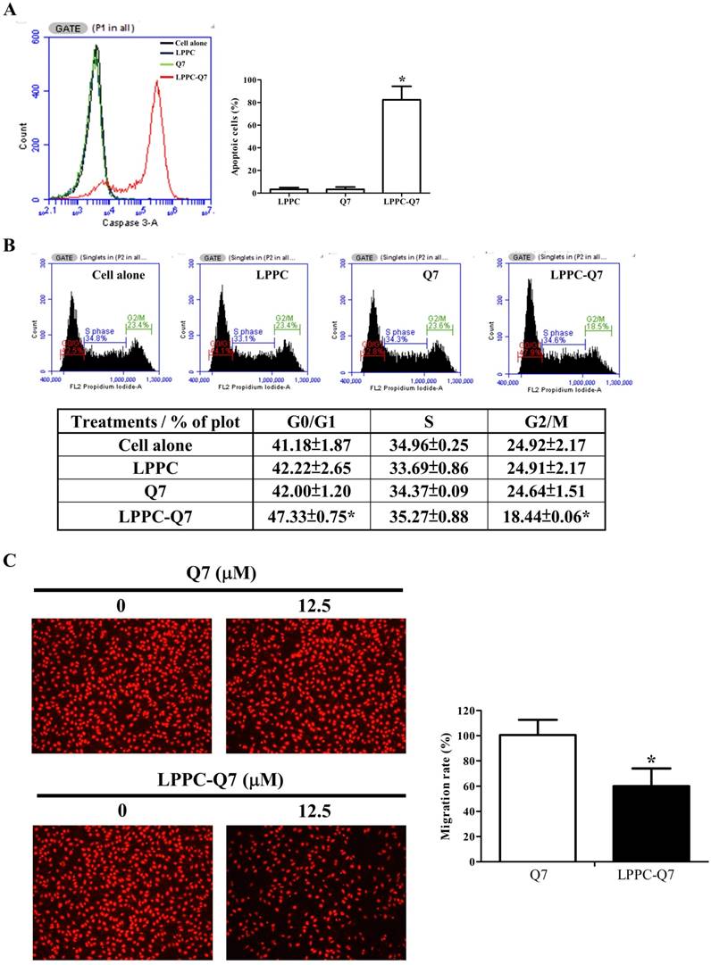 Int J Med Sci Image