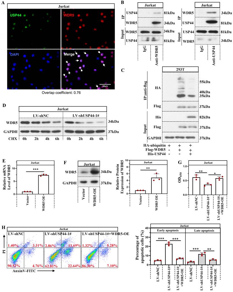 Int J Med Sci Image