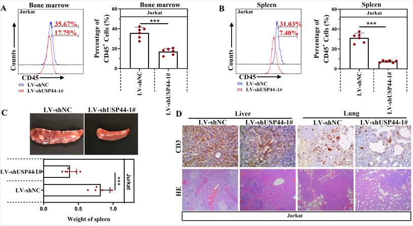 Int J Med Sci Image