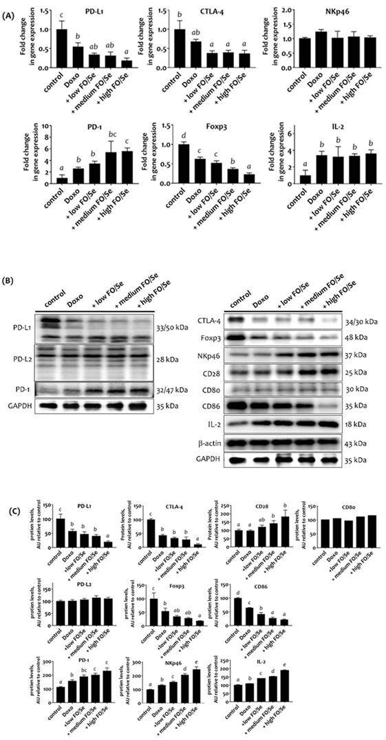 Int J Med Sci Image