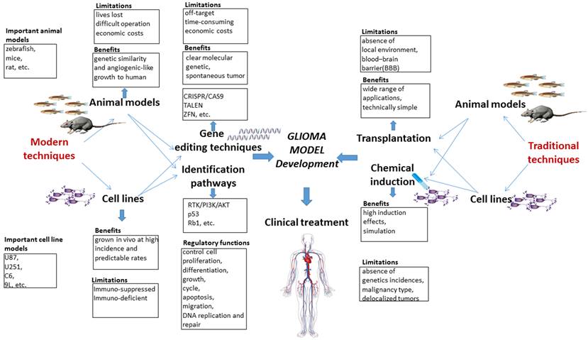 Int J Med Sci Image