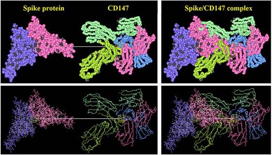 Int J Med Sci Image