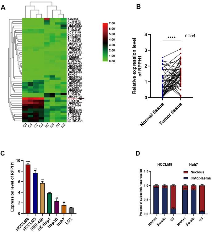 Int J Med Sci Image