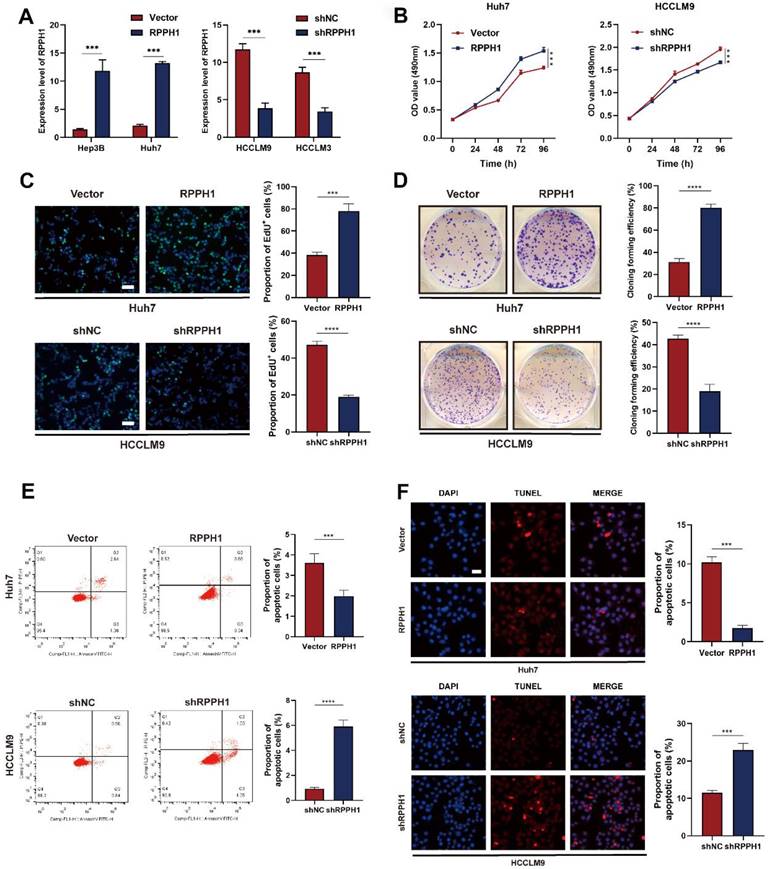 Int J Med Sci Image