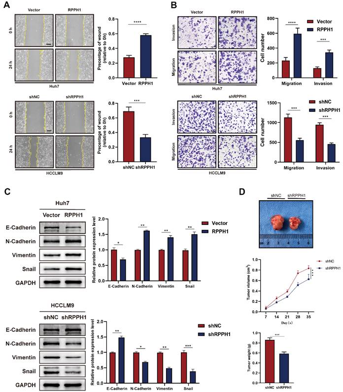 Int J Med Sci Image