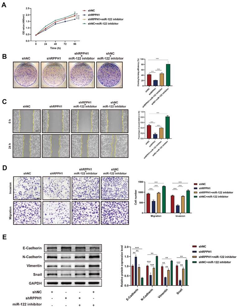 Int J Med Sci Image