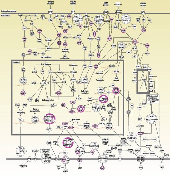 Int J Med Sci Image