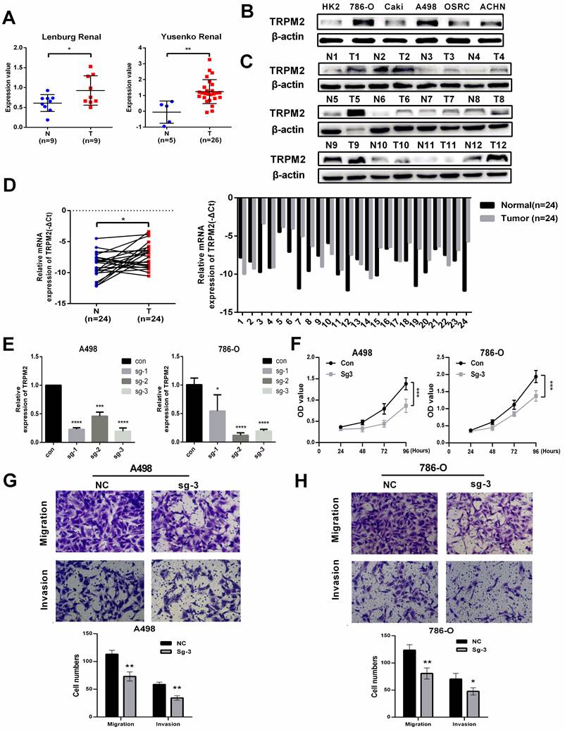 Int J Med Sci Image