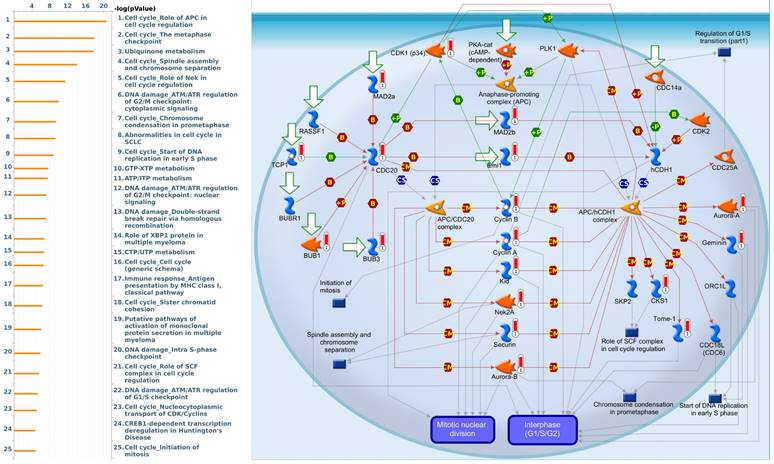 Int J Med Sci Image