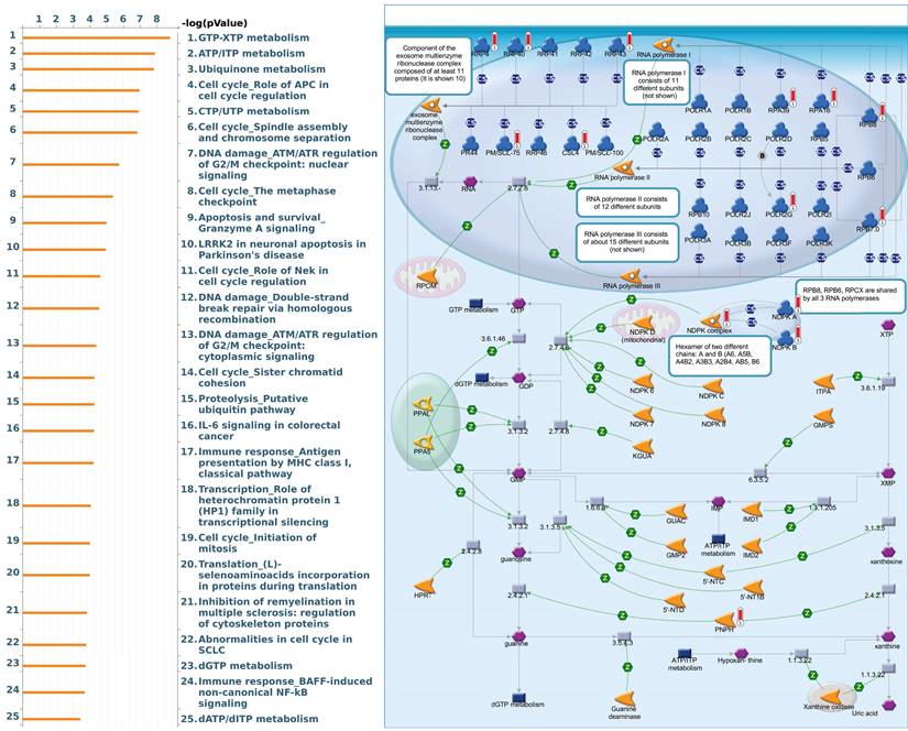 Int J Med Sci Image