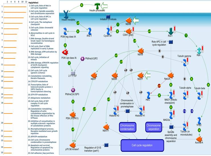 Int J Med Sci Image