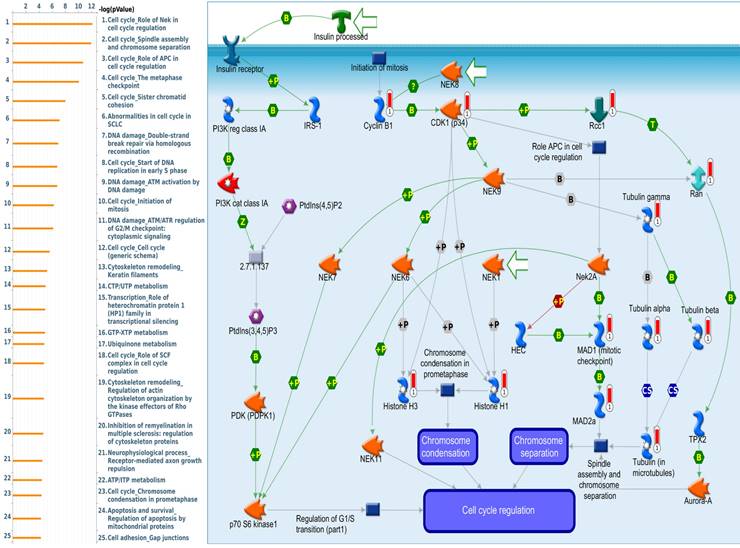Int J Med Sci Image