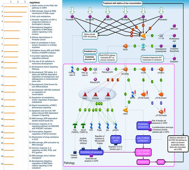 Int J Med Sci Image