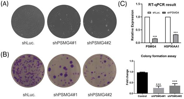 Int J Med Sci Image