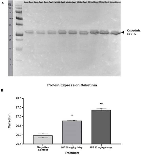 Int J Med Sci Image