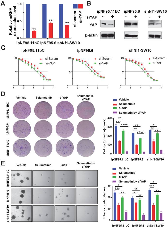 Int J Med Sci Image