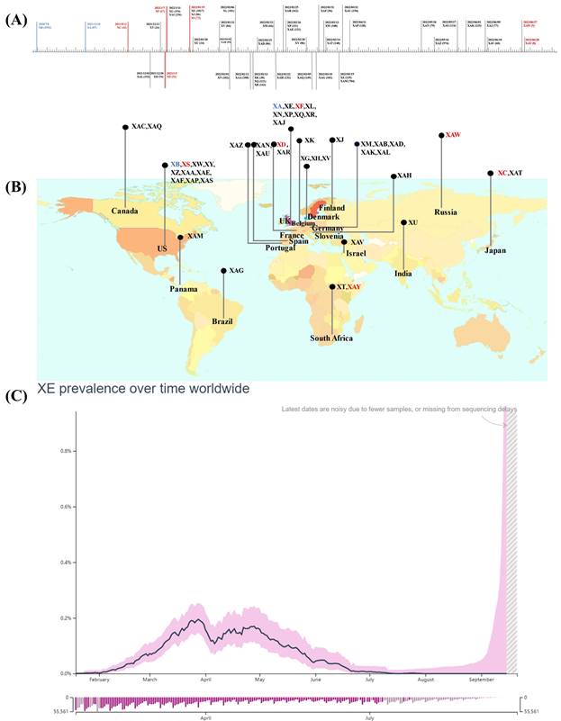 Int J Med Sci Image