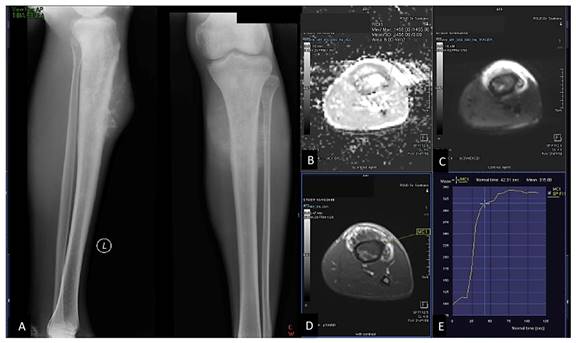 Int J Med Sci Image