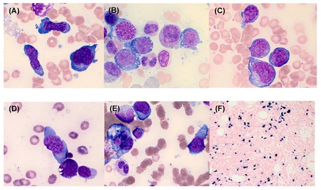 Int J Med Sci Image