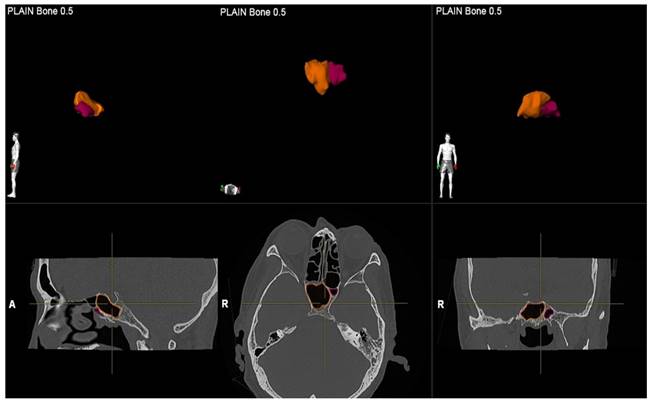 Int J Med Sci Image