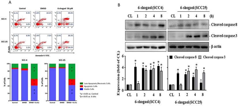 Int J Med Sci Image
