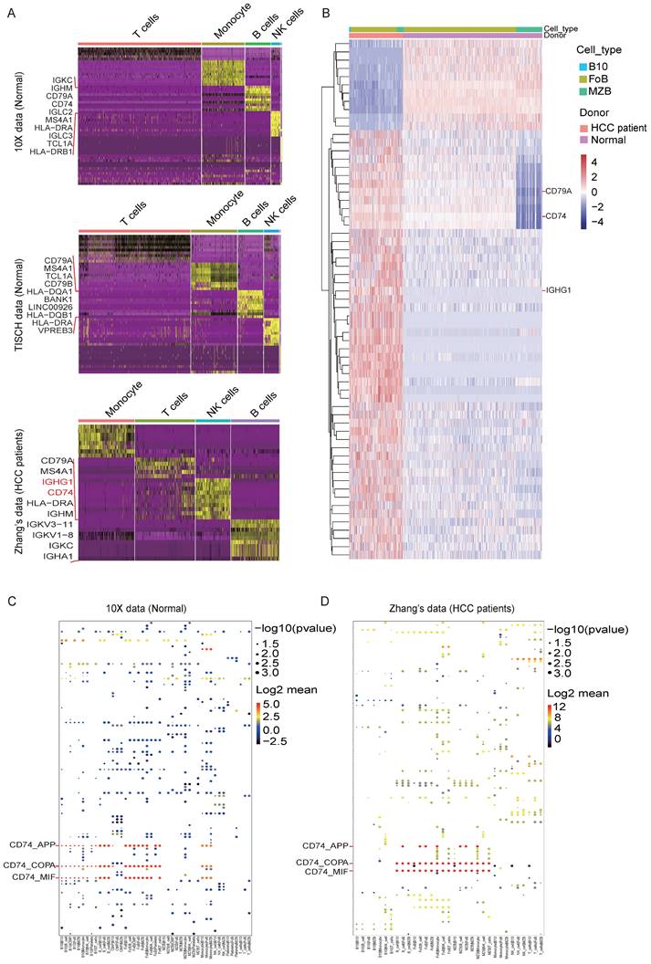 Int J Med Sci Image